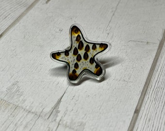 Chocoladeschilfer Star Pin - ongewervelde pin, aquariaan cadeau, zeester Cadeau, Aquarist Pin, Aquarium Pin, zeester pin