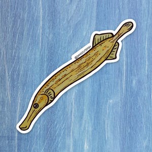 Trumpetfish Sticker, Trumpetfish Gift, Syngnathid Sticker, Trumpet fish