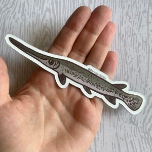 Big Gar Magnet - Gar Gift, aquarist gift, fisherman gift, ichthyologist gift