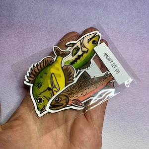 See und Bach, Fisherman Magnet Set (3) - Largemoth Bass, Bachforelle, Bluegill Sunfish