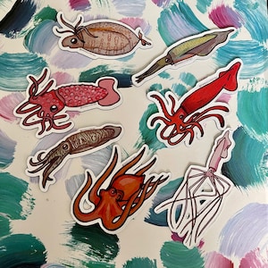 Magnet Set - 7 Cephalopods #3! Cephalopod magnets, cephalopod gift. Day Octopus, Long Arm Squid, Kisslip Cuttlefish, Strawberry Squid,