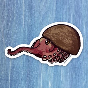 Coconut Octopus Sticker, Cephalopod Sticker, Octopus Gift, Aquarist