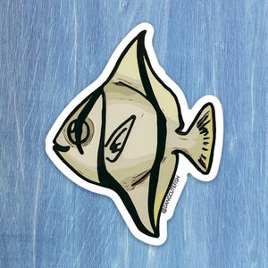 Monosticker, silber Moony, Brackwasser, mono Aufkleber, Süßwasseraquarium, Geschenk, Aquarium