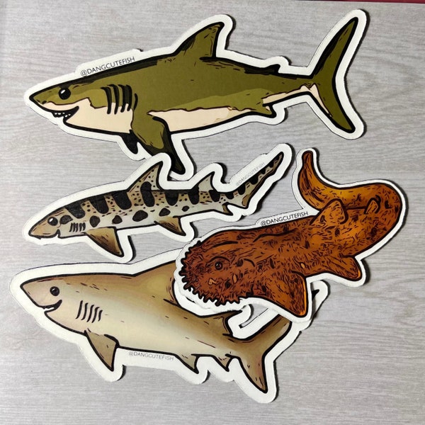 Magnet Set - Big Sharks set #4 White Shark, Leopard Shark, Bull Shark, wobbegong Shark. Elasmobranch magnet, Shark magnets