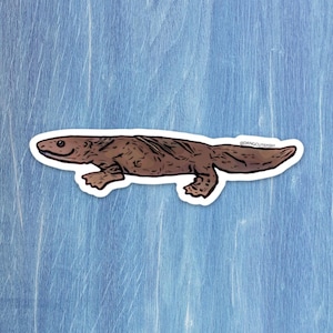 May include: A sticker depicting a brown salamander illustration with a white border. The salamander is smiling and horizontal. The sticker has the text "@dangcutefish" in the lower right corner. The background is a light blue.