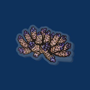 Acropora Pin - invertebrate pin, aquarist gift, coral pin, Acropora Gift, Aquarist Pin, Aquarium Pin, Cora aquarist