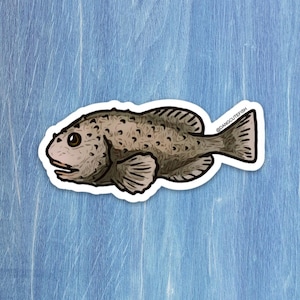 Matte coated vinyl stickers (1) - Blobfish Sticker, Blobfish Gift, Blob Fish Sticker, Aquarist Gift, Deep Sea Sticker