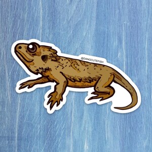 Bearded Dragon Sticker, Reptile Sticker, Reptile Keeper, Herpetologist