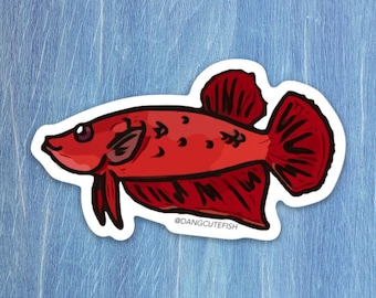 Betta sticker, betta fish sticker, betta fish gift, aquarium sticker