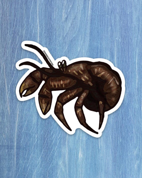 Matte Coated Vinyl Sticker - Coconut Crab Sticker - Etsy