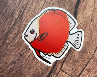 Matte coated vinyl stickers (4) - Discus Pack, great gift for an aquarist or ichthyologist.