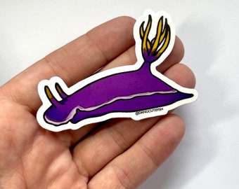 Nudibranch Sticker (1) - matte vinyl sticker, Apolegma Nudibranch, Aquarist Sticker, Gift, purple Nudibranch