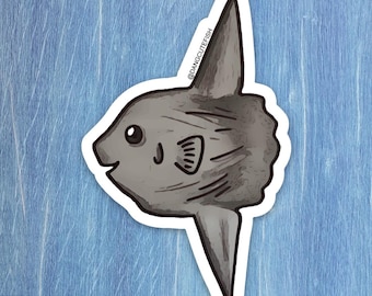 Sticker crapet-soleil, sticker Mola mola, cadeau mola, cadeau aquariophile, sticker aquariophile, sticker récif