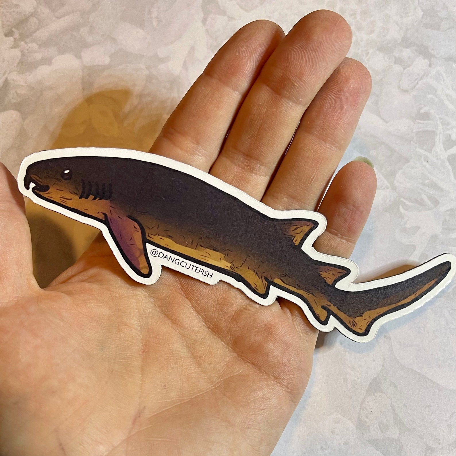 6 Inch One Piece Shark You Choose the Etsy