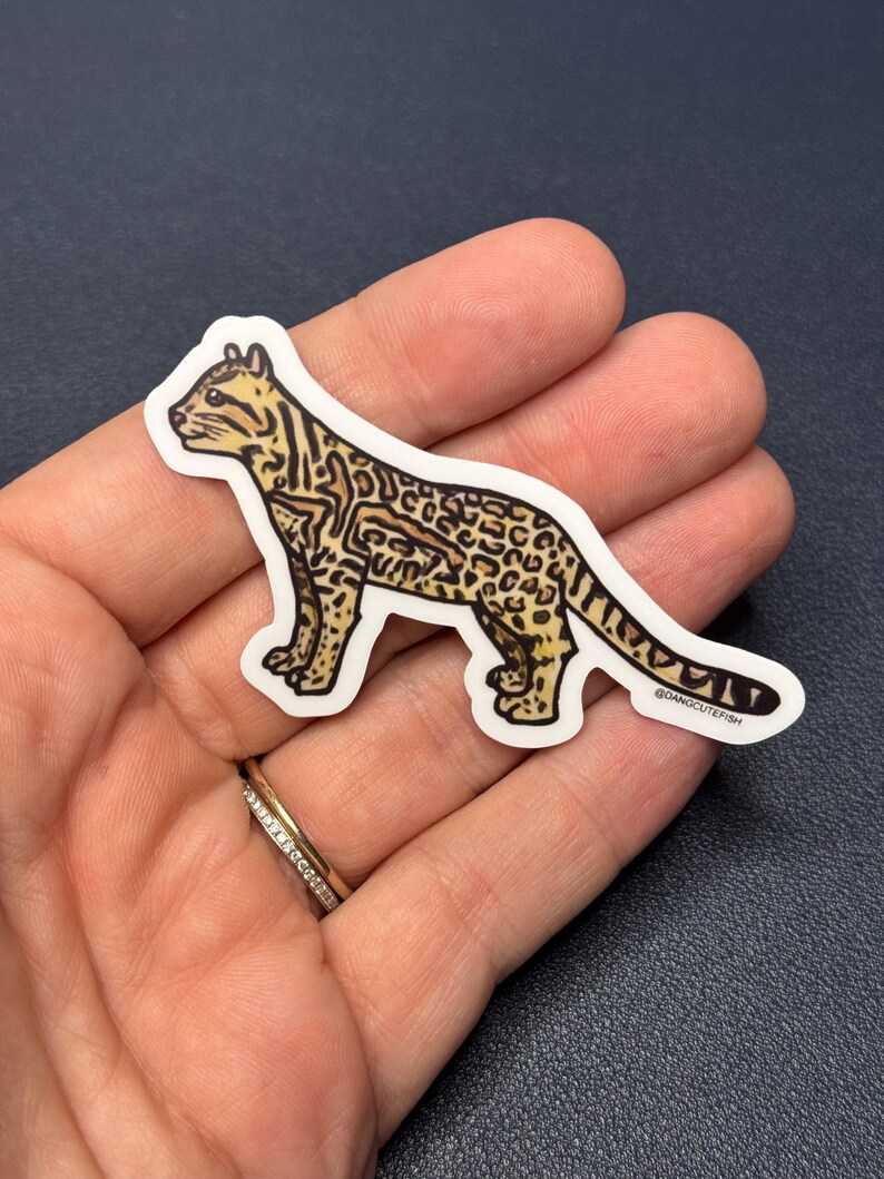 Ocelot Sticker, Gift, Mammal Sticker, Zookeeper, Big Cat, Feline - Etsy