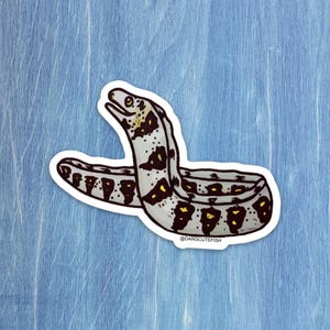 Snowflake Moray Eel Sticker - great gift for an aquarist, ocean lover, or any fan of fish!