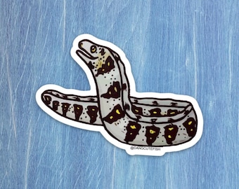 Pegatina de morena copo de nieve: ¡un regalo estupendo para un acuarista, amante del océano o cualquier aficionado a los peces!