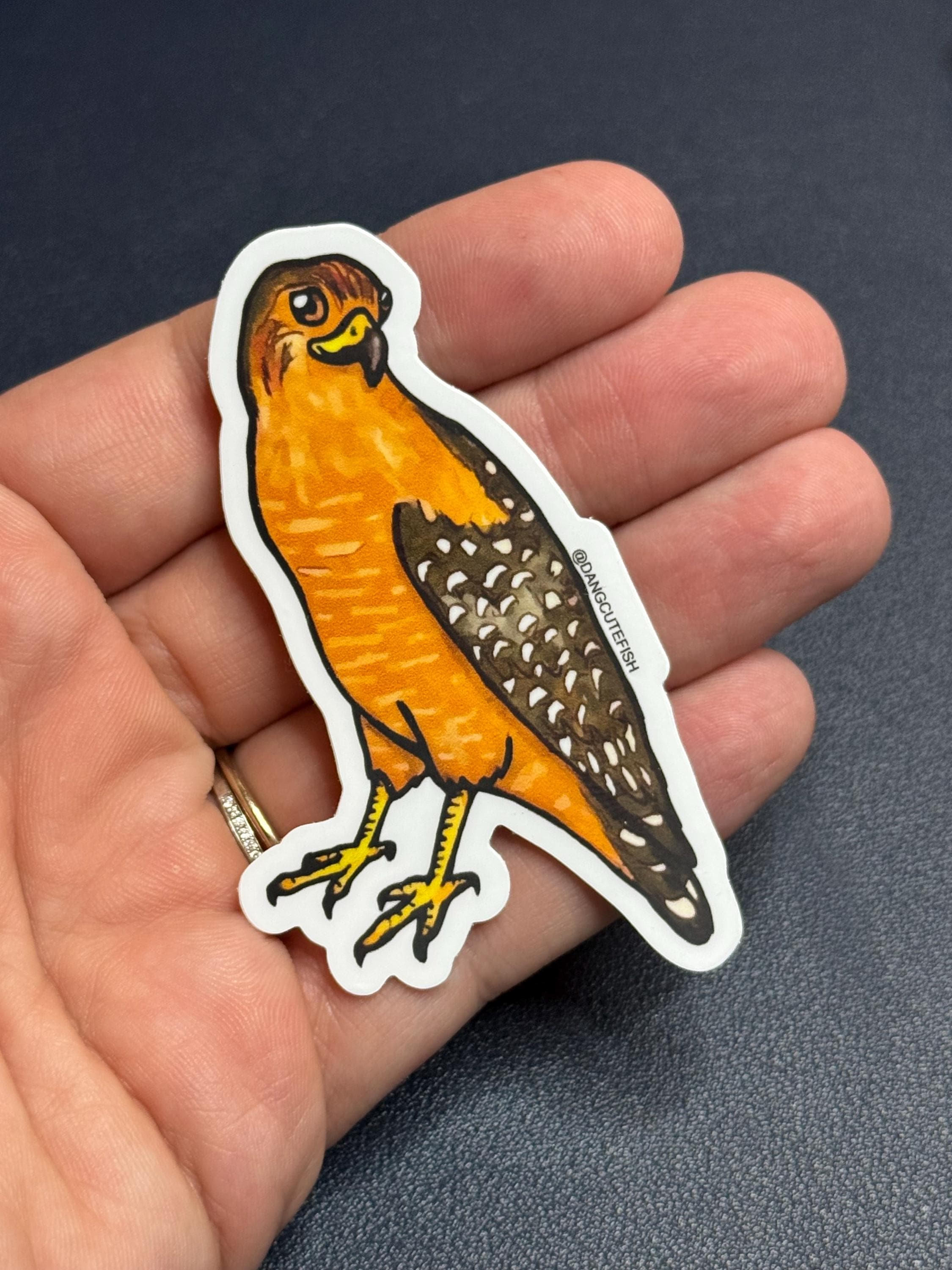 Red Shoulder Hawk Sticker - Dang Cute Birds, Bird Sticker, Bird ...