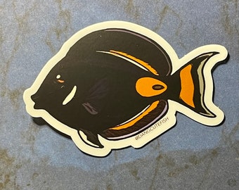 Matte coated vinyl stickers (1) - Achilles Tang Sticker, Achilles Tang gift, aquarist gift, aquarist sticker, Reef Sticker