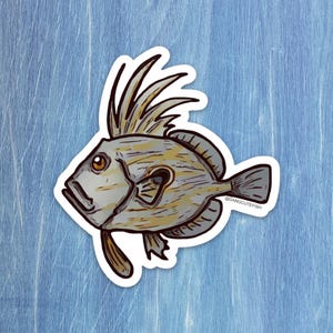 John Dory Sticker, John Dory gift, Deep sea sticker