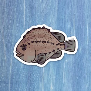 Matte coated vinyl sticker - Lumpfish