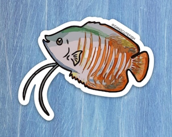 Gourami Sticker, gourami gift, freshwater fish, community fish tank, cute gourami