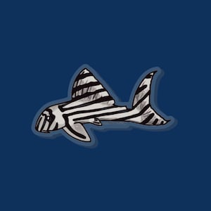Zebra pleco Pin - fish pin, aquarist gift, zebra pleco gift, aquarist pin, aquarium pin