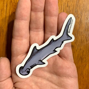 Matte coated vinyl sticker - Bonnethead Shark, Great For Elasmobranch Enthusiasts