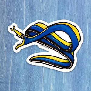 Ribbon Eel Sticker - great gift for an aquarist, ocean lover, or any fan of fish!