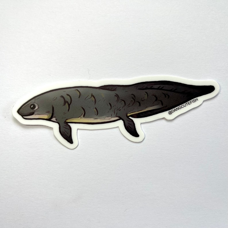 Lungfish Sticker 1 matte vinyl sticker, Aquarist Sticker, Gift, lungfish gift image 2