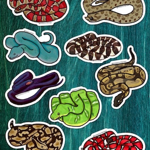 Könnte beinhalten: Eine Sammlung bunter Schlangenaufkleber. Die Aufkleber zeigen verschiedene Schlangenarten in Rot-, Grün-, Blau-, Braun- und Lilatönen. Jeder Aufkleber hat einen weißen Rand und ist vor einem türkisfarbenen Hintergrund platziert.