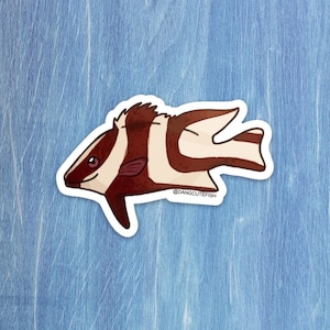 Matte coated vinyl sticker - Emperor Snapper sticker