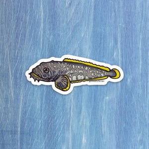May include: A sticker illustration of a grey fish with a mottled pattern, featuring a prominent yellow dorsal fin, yellow-edged pectoral fins, and a yellow-rimmed tail. The fish has small barbels near its mouth and the text DANGCUTEFISH printed on it.