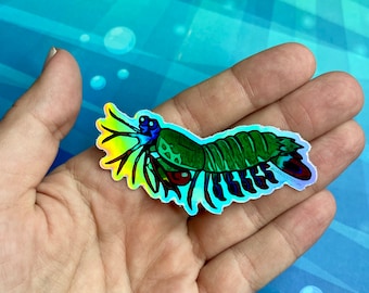 Holographic Vinyl Sticker - mantis shrimp Sticker, Holo Sticker, peacock mantis Sticker, Aquarium Sticker,