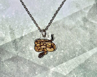 Balpythonketting - slangensieraden, reptielensieraden, herpetoloogsieraden, leuke vis, cadeau