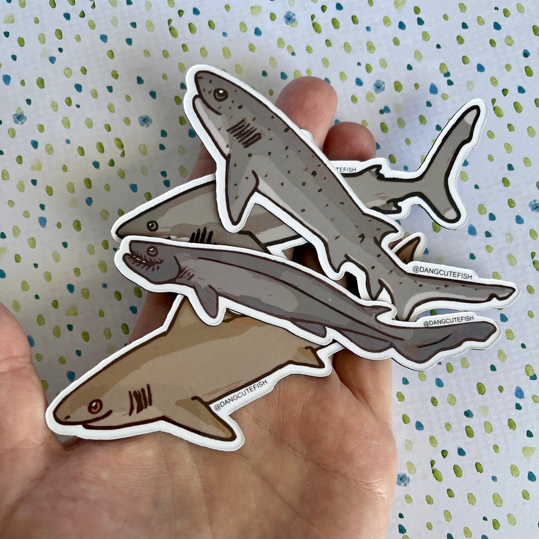 Set Big Sharks Set 5. Frilled Shark, Sandbar Shark, Seven Gill