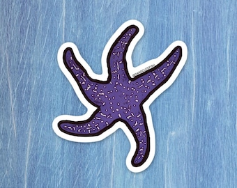 Puede incluir: Una pegatina de estrella de mar morada con borde blanco. La estrella de mar tiene un aspecto texturizado con pequeños puntos blancos. La pegatina está sobre un fondo azul claro. El texto "@dangcutefish" es visible.