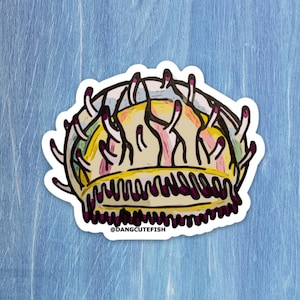 Flower Hat Jelly Sticker - aquarist gift, aquarist sticker, Jelly sticker, Jelly Aquarist gift, Cnidarian