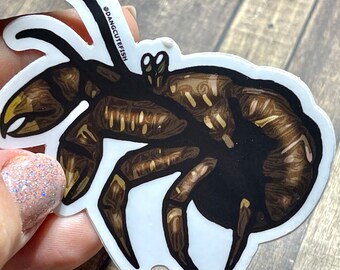 Matte coated vinyl sticker - Coconut crab sticker