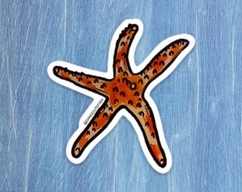Puede incluir: Una pegatina con una ilustración de una estrella de mar. La estrella de mar es naranja con manchas marrones y contornos negros, sobre un borde blanco. El fondo es de vetas de madera azul claro.