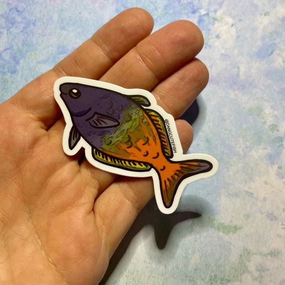 This is the Skin of A Killer Bella Twilight Rainbow Fish Holographic  Sticker Magnet 