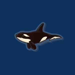 Orca Pin - whale pin, gift, killer whale, marine mammal, marine biology, aquarium