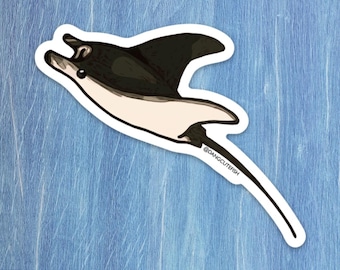 manta ray sticker, stingray sticker, Great for the elasmobranch enthusiast or marine biologist, mobula