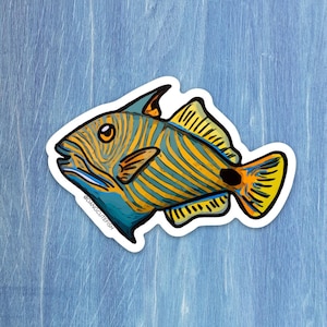 Undulated Triggerfish sticker, fish sticker, gift, aquarist, aquarium
