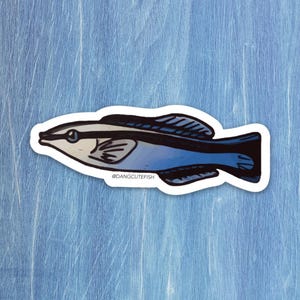 Cleaner Wrasse Sticker, Cleaner Wrasse gift, aquarist gift, aquarist sticker, Reef Sticker