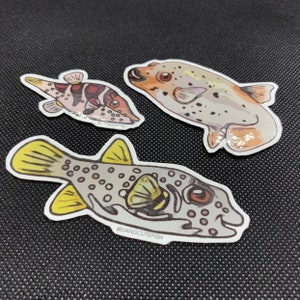 Puffer Magnet Set! Set of three cute pufferfish: Dogface puffer, Stars and Stripes puffer, Valantini puffer! Aquarist gift, puffer gift