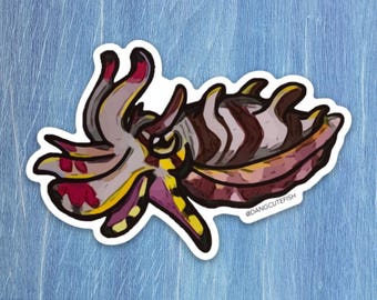 Matte coated vinyl sticker - Flamboyant Cuttlefish