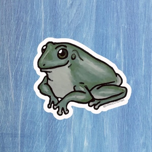 Vit trädgroda klistermärke - Dumpy Tree Frog, Aquatic Frog, gåva, akvarist, herpetolog, amfibie, reptilvårdare, Herp