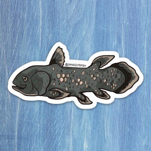 Coelacanth sticker, Coelacanth Gift, Aquarist Sticker, Marine Biology Sticker, Marine Biologist