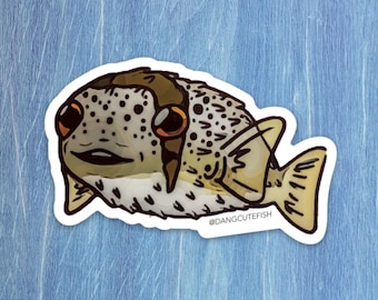 Balloonfish Sticker, porcupinefish, great for fans of pufferfish and curious creatures.